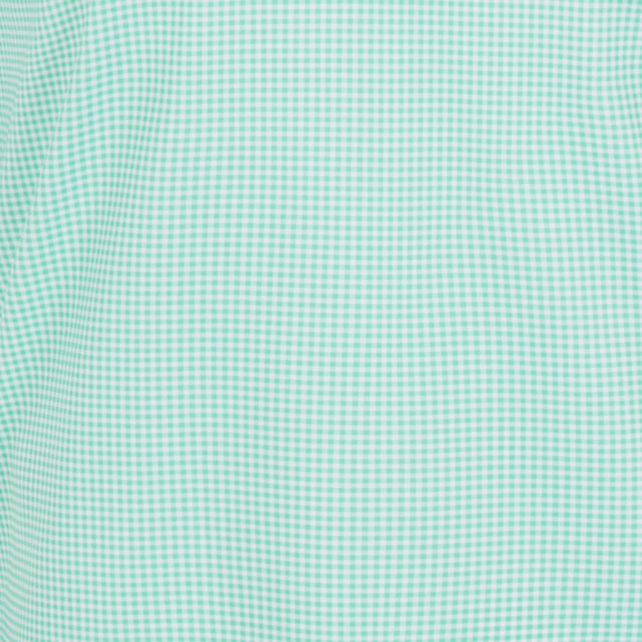 Green Gingham