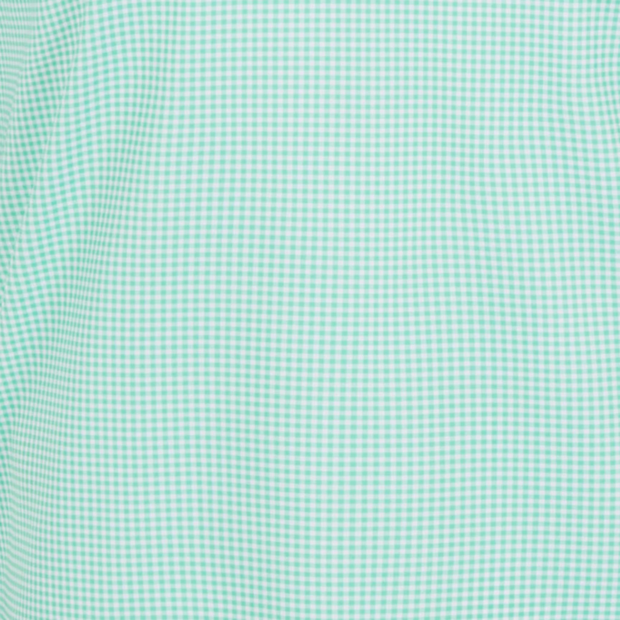 Green Gingham